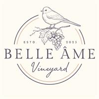 Sarah VanValkenburg at Belle Ame Vineyard