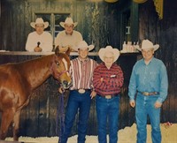 For the love of horses: UW-River Falls celebrates 50th anniversary of Colts in Training Sale May 2