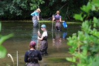 University students get hands-on experience monitoring Kinnickinnic River in River Falls in advance of dam removal project