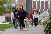 Assistance dogs arrive at UW-River Falls for semester of student training, campus life