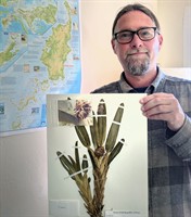 UW-River Falls professor discovers new orchid species in Palau