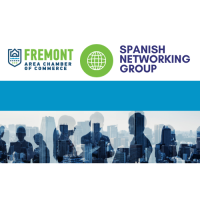 Spanish Networking Group