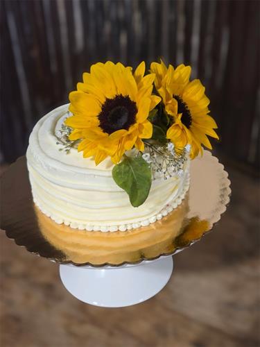 Gallery Image Photoroom_20260125_104250.JPG