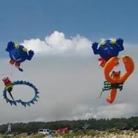 Capriccio Festival of Kites