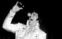 Elvis Tribute Show