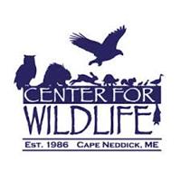 Center For Wildlife Visits the Village Toy Funatic