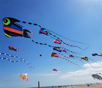 22nd Annual Capriccio Festival of Kites with the Music of Andy Happel