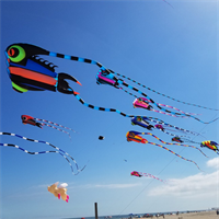 Annual Capriccio Festival of Kites