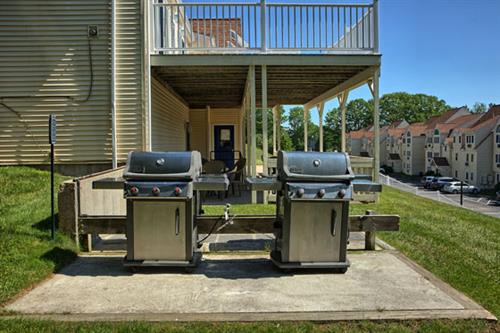 BBQ Grill Area