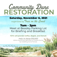 Community Dune Restoration organized by Trees on the Coast