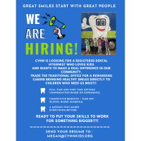 Children's Volunteer Health Network