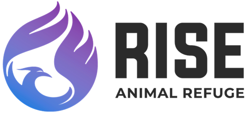 Rise Animal Refuge