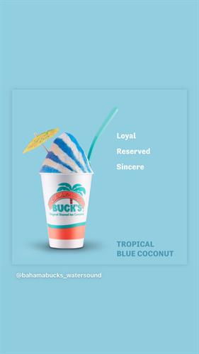 Gallery Image Blue_Coconut_pic.JPG