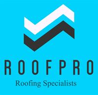 RoofPro Roofing