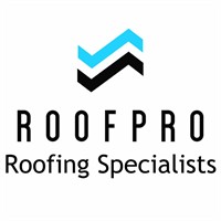 RoofPro Roofing