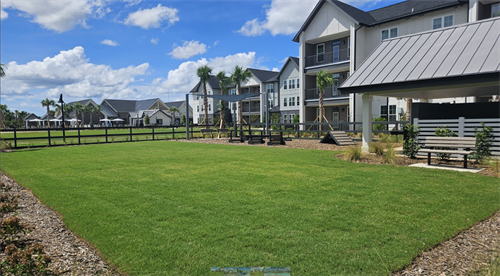 Dog Park with Agility Course and Dog Wash stations