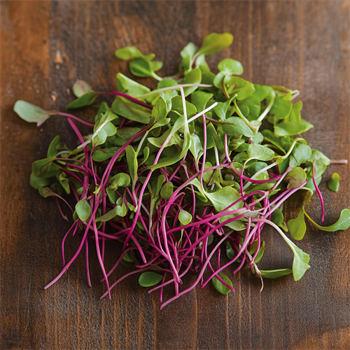 Gallery Image machinedog_a_pile_of_Beet_microgreens_on_a_farmhouse_table_top__6701aa7d-0455-46d8-93cd-ded4cfa40bf0.png