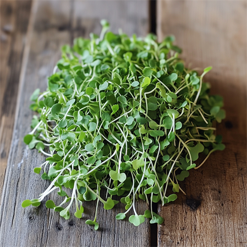 Gallery Image machinedog_a_small_pile_of_Broccoli_microgreens_on_a_farmhouse__bff96646-a496-49ea-877a-7e139b0738a3.png