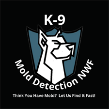 k-9 Mold Detection NWF