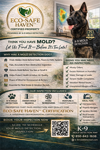 Gallery Image ChatGPT_Image_Mar_5._2026._09_06_02_PM.png