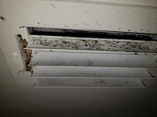 Mold on Vent