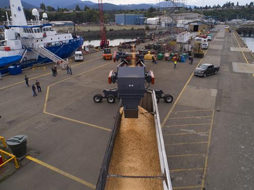 Loading Wood Chips at Port's terminal