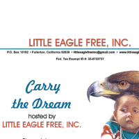 Carry the Dream: Silent Auction by Little Eagle Free, Inc.