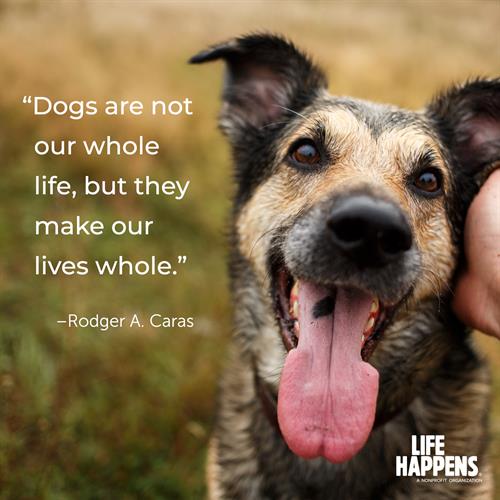 Gallery Image graphic_quote_dogs_Caras_1500x1500_branded.jpg