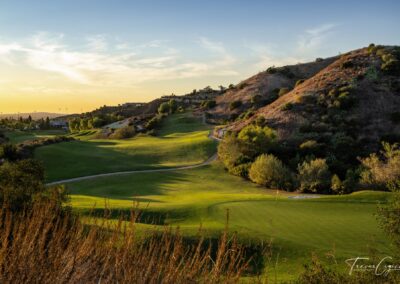 Gallery Image Black-Gold-38-1-400x284.jpg