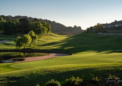 Gallery Image Black-Gold-55-1-400x284.jpg