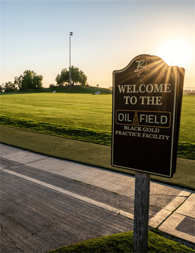 Gallery Image Your-paragraph-text-1.png