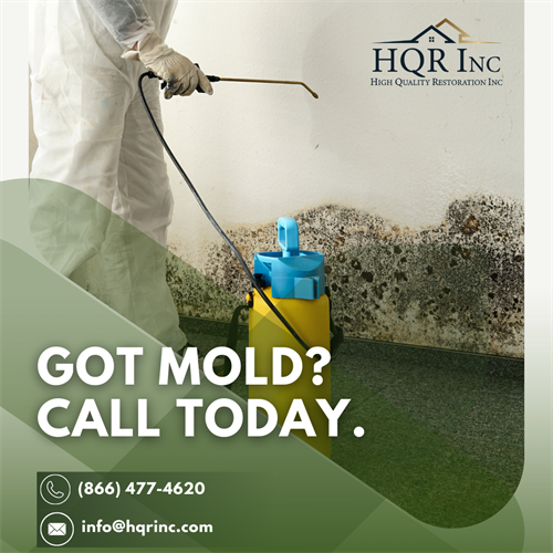 Got Mold?