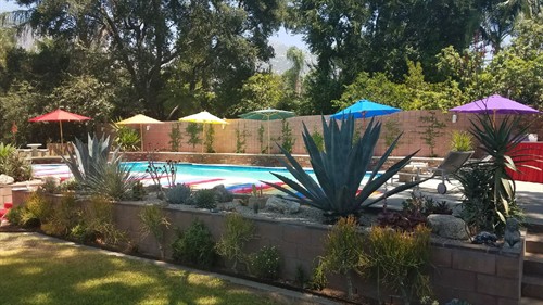 Gallery Image IMG-0318.JPG