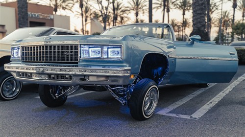 Gallery Image impala.jpg