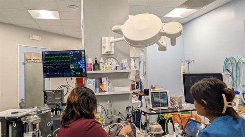 Procedure