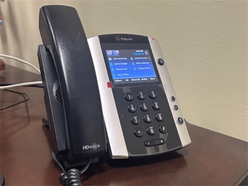 Gallery Image polycom.png