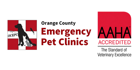 Orange County Emergency Pet Clinic