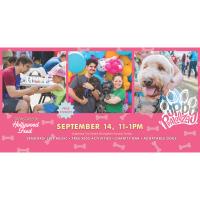 The Vestavia City Center's Puppy Palooza