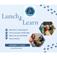 November Lunch and Learn with FIDOS