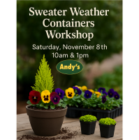 Andy's Creekside Nursery: Sweater Weather Container Workshop