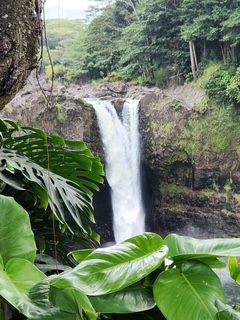 Gallery Image hawaii_waterfall.JPG