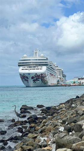 Gallery Image ship.JPG