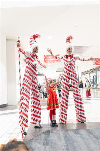 Gallery Image Parkway-Tree_Lighting2025-09.jpg