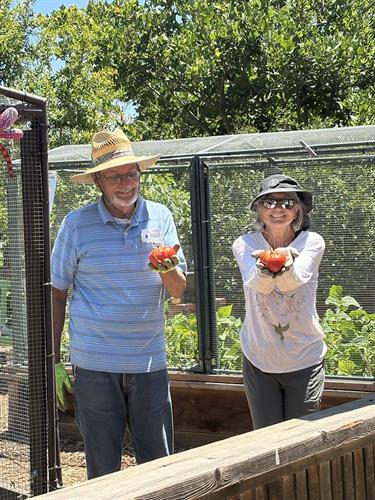 Gallery Image Volunteers_with_tomatoes.jpg Gallery Image Volunteers_with_tomatoes.jpg