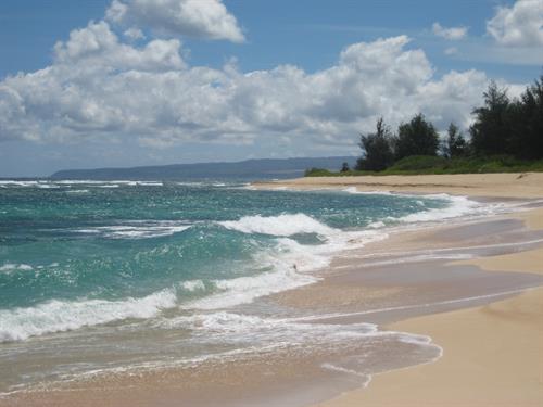 Best Hawaiian Beach Ever!!  North shore of Oahu.