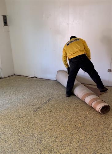 Gallery Image Carpet_Removal3.jpg