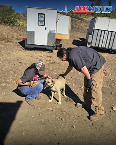 We love saying hi to your pets!