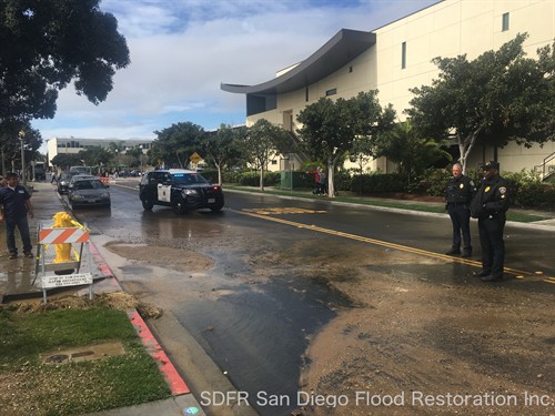 Gallery Image flooded_street_fire_hydrant.jpg