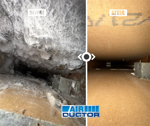 Results before and after air duct cleaning