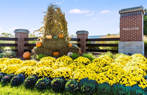 Gallery Image Fall_Enhancements_Corp_(2).jpg